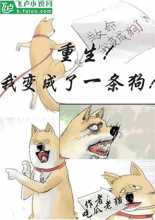 小说今日吃瓜免费阅读,免费阅读小说中的甜蜜诱惑