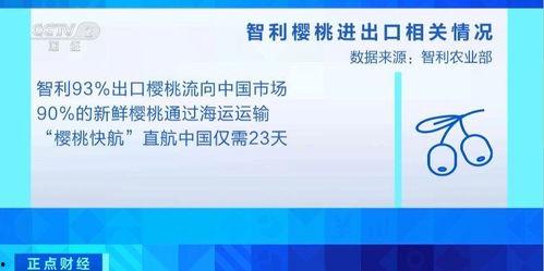 樱桃视频官方网站,探索短视频新天地，畅享精彩内容盛宴