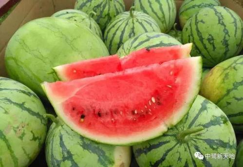 今日国内实时吃瓜,揭秘娱乐圈最新热点事件